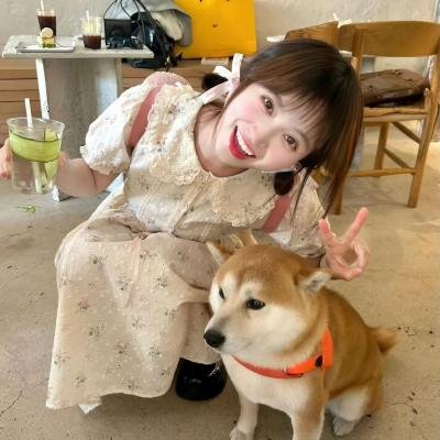 亲爱的大笨象