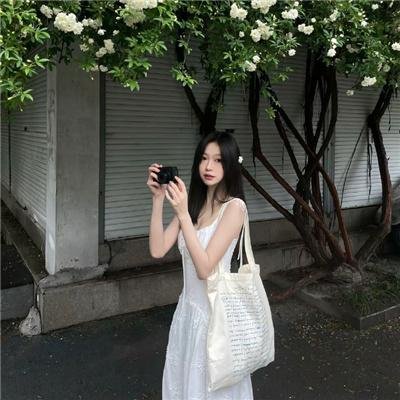 长毛狗